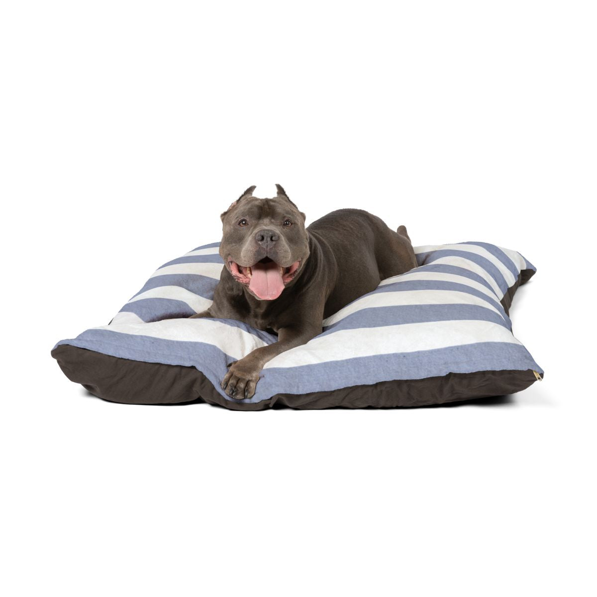 🐾 Sea La Vie Pets Collection