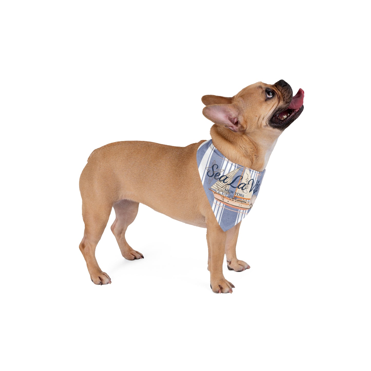 Sail Away Pet Bandana | Beach Vibes | Perfect for Summer Adventures, Dog Birthdays, Photoshoots, Pet Gifts, or Beach Outings