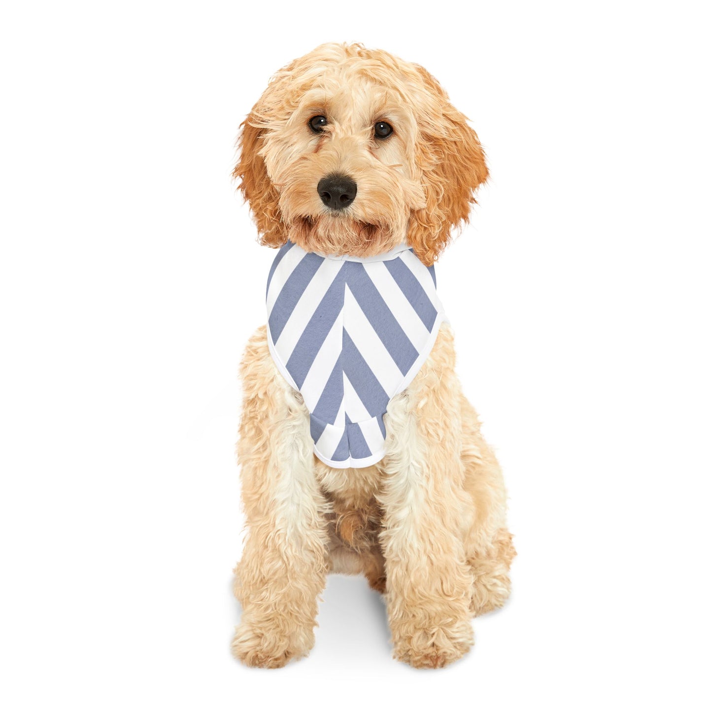 Sail Away Pet Hoodie for Dogs, Nautical Pet Sweater, Dog Clothing, Beach Outfit for Pets, Coastal Dog Hoodie, Fun Dog Apparel