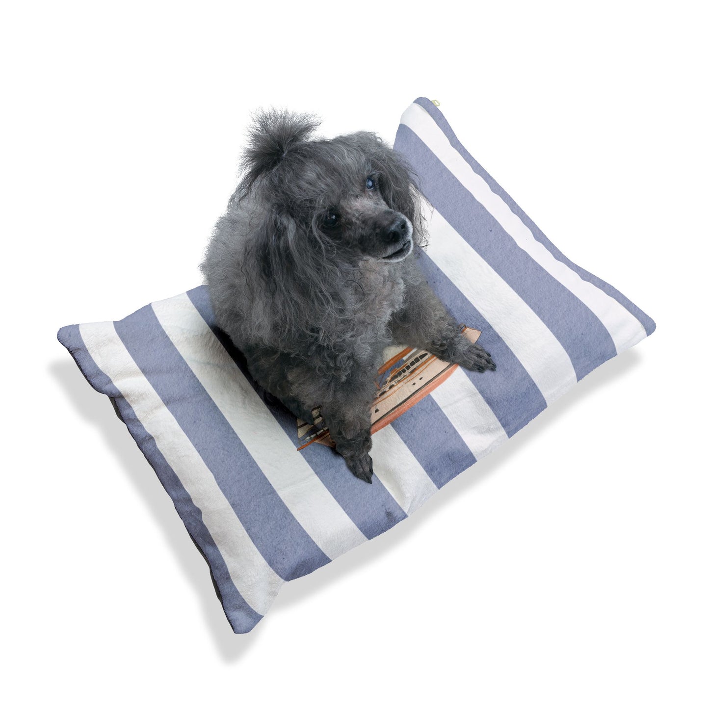 Sail Away Pet Bed, Cozy Pet Cushion, Dog Bed, Cat Bed, Sea La Vie Design, Stylish Pet Furniture, Home Decor for Pet Lovers